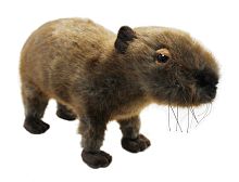 13993 Игрушка мягконабивная Капибара 30см
