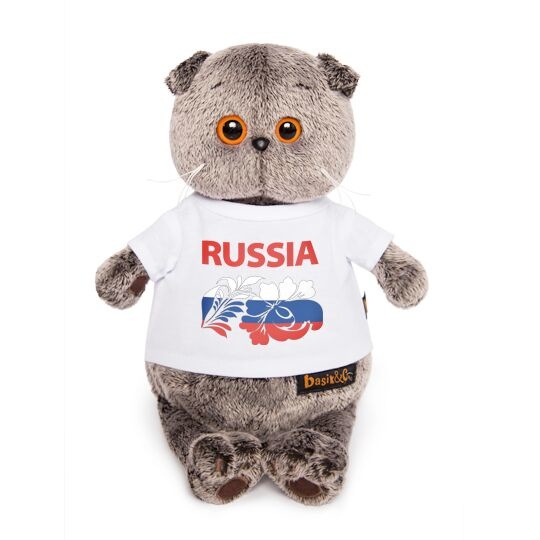 Ks19-099 Басик в футболке с принтом "Россия"